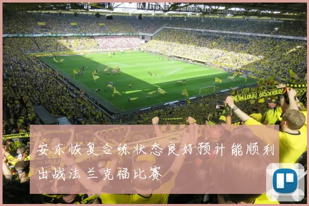 安东恢复合练状态良好预计能顺利出战法兰克福比赛