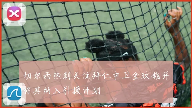切尔西热刺关注拜仁中卫金玟哉并将其纳入引援计划