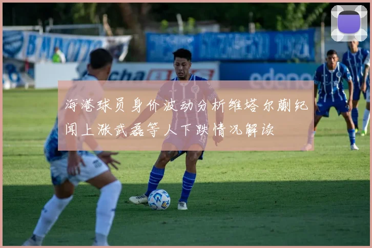 海港球员身价波动分析维塔尔蒯纪闻上涨武磊等人下跌情况解读