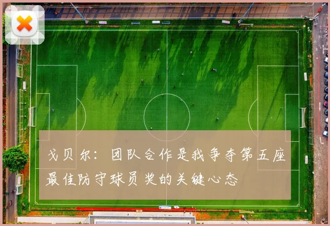 戈贝尔：团队合作是我争夺第五座最佳防守球员奖的关键心态