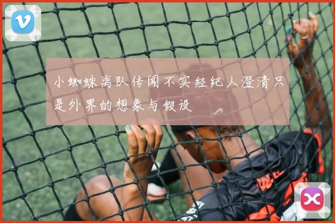 小蜘蛛离队传闻不实经纪人澄清只是外界的想象与假设